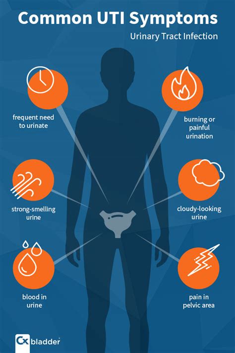 Can Recurrent UTI Symptoms Be a Sign of Cancer? | Cxbladder