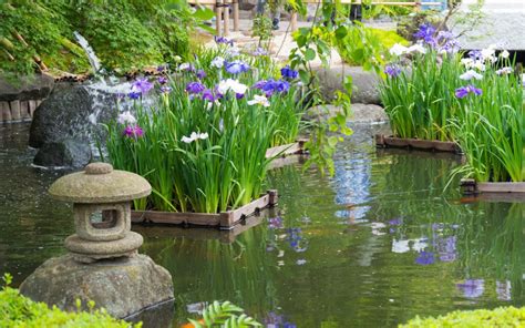 How To Create A Zen Garden In The British Climate