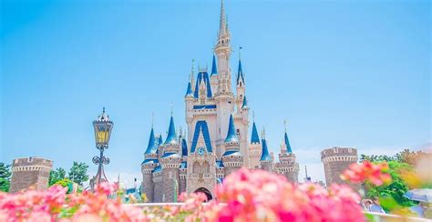 Tokyo Disneyland And Universal Studios Japan Temporarily Closed Amid COVID-19 Fears | Geek Culture