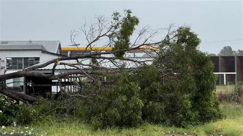 Cyclone Kirrily downgraded as it hits Queensland - ABC listen