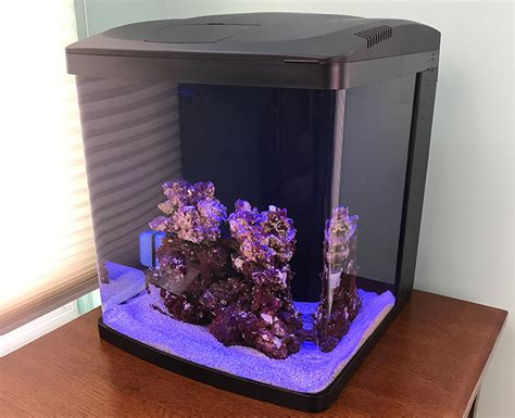 How to Cycle a Nano Reef Tank Safely - Nano Reef Tanks | Saltwater Fish ...