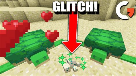 Minecraft, but I Found a Turtle Hatching Glitch - YouTube