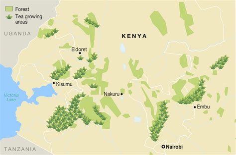 Kenyan Tea Industry - Dominion Tea