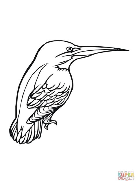 Kingfisher Bird coloring page | Free Printable Coloring Pages