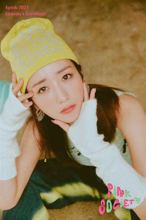 221118 Bomi - Apink 2023 Season’s Greetings 'PiNK SOCiETY' (Teaser Photo) : r/bomi