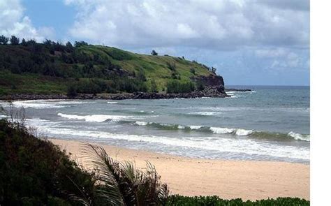 Kauapea Beach - Kauai's Best Kept Secret | Only In Hawaii