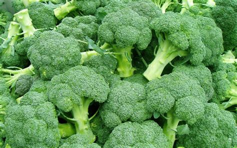 Compound in broccoli could help reduce type 2 diabetes