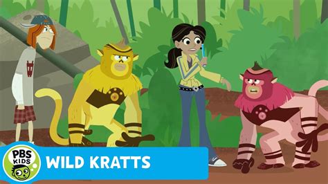 Pbskids Org Wild Kratts Your Room | Kids Matttroy