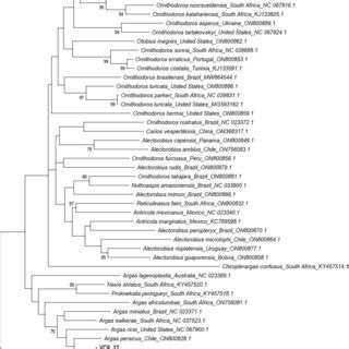 Phylogenetic analyses for tick species identification (COI, 654 bp) | Download Scientific Diagram