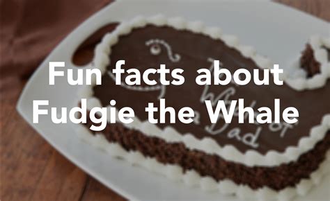 How Much Is A Fudgie The Whale Cake From Carvel - Cake Walls