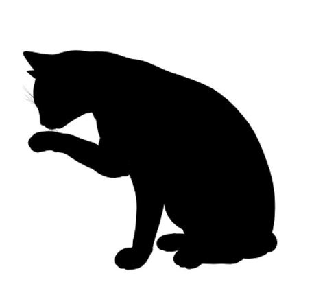 Black Cat Illustrations - ClipArt Best