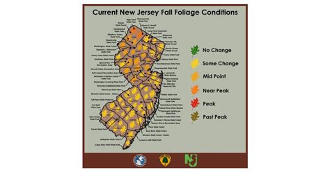 2022 NJ Fall Foliage Show Near Peak in Sussex, Colorful Leaves Take Center Stage Statewide ...