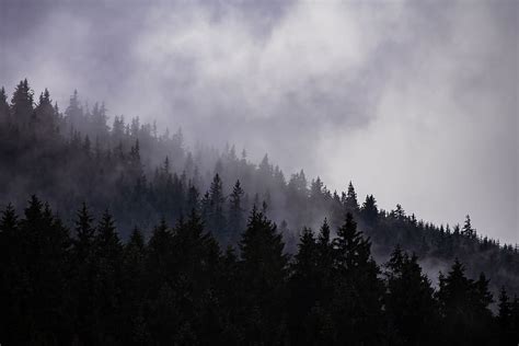 HD wallpaper: cloudy, forest, fog, dark, dramatic, depressive, autumn, mountains | Wallpaper Flare