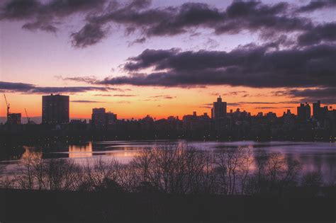 Central Park Sunrise Photograph by Ariane Moshayedi