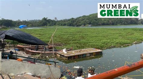 Mumbai Greens: Powai Garden, gateway to a simpler time | Mumbai news