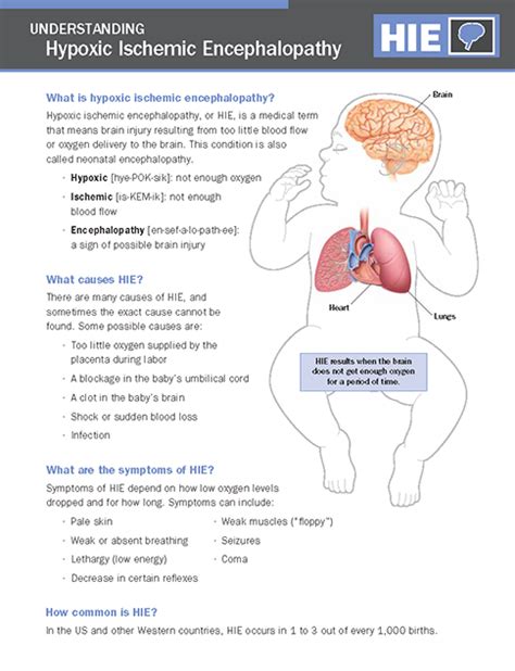 Hypoxic Ischemic Encephalopathy (HIE) - NICU Parent Education Resources