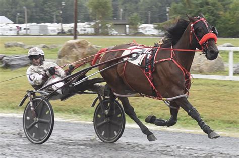 Walter Case, Jr. adds to his impressive win total - Harnesslink