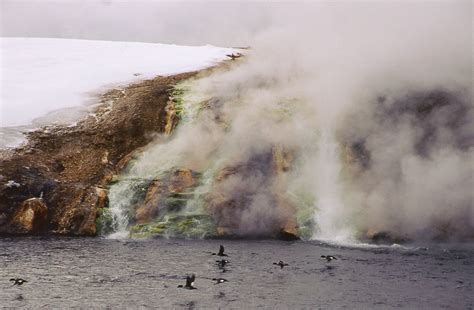 Yellowstone Winter