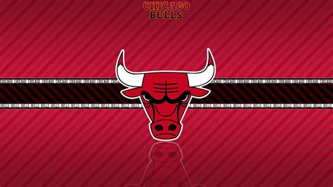 Bulls HD Wallpaper - WallpaperSafari