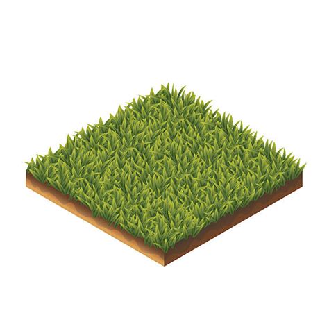 Grass Dirt Illustrations, Royalty-Free Vector Graphics & Clip Art - iStock