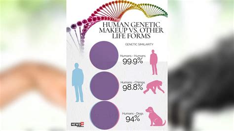 Explainer | Genetic similarity between humans and other life forms