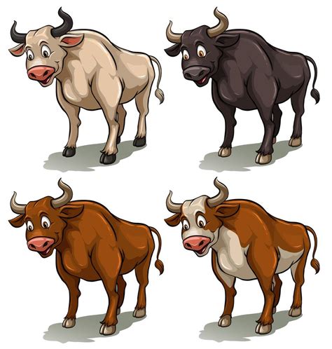 Four bulls 302750 Vector Art at Vecteezy