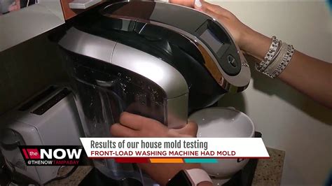 Results of house mold testing - YouTube