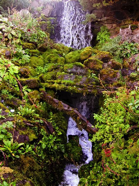 Waterfall and Rock Garden at Botanic Gardens, Edinburgh