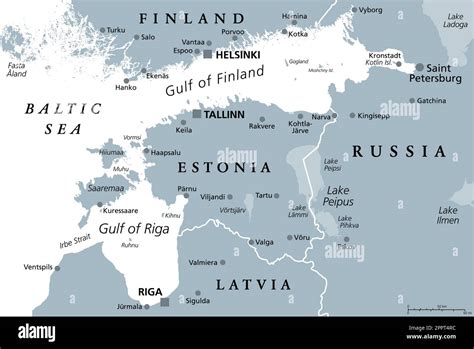 Gulf of Finland and Gulf of Riga region, gray political map Stock ...