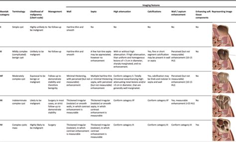 Figure 1 from Bosniak Classification for Complex Renal Cysts Reevaluated: A Systematic Review ...