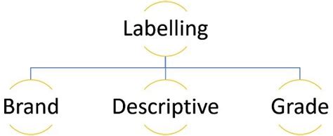 Labeling in Marketing – Track2Training