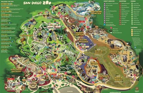 Parking At The San Diego Zoo: A Guide To Finding Your Spot And Making The Most Of Your Visit