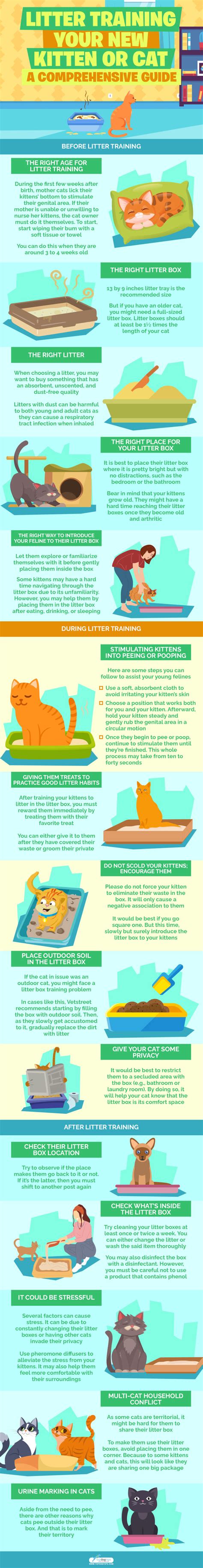 Litter Training Your New Kitten Or Cat: A Comprehensive Guide