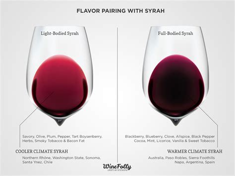 Syrah Food Pairing Advice | Wine Folly | Wine folly, Syrah, Syrah wine