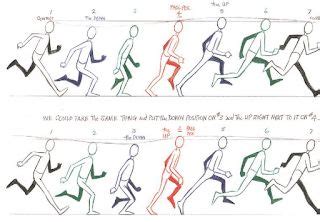 Run Cycle | Animation reference, Animation sketches, Animation storyboard