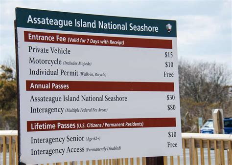 Assateague Island Camping Guide: 8 Campgrounds, 9 Hikes, Attractions ...