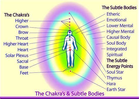 The Human Energy System - Your Aura, Chakras & Subtle Bodies | Aura ...