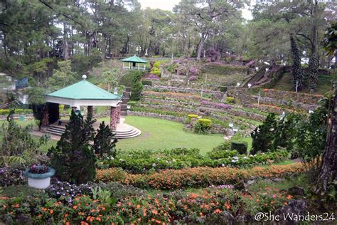 Camp John Hay in Baguio City ~ She Wanders24