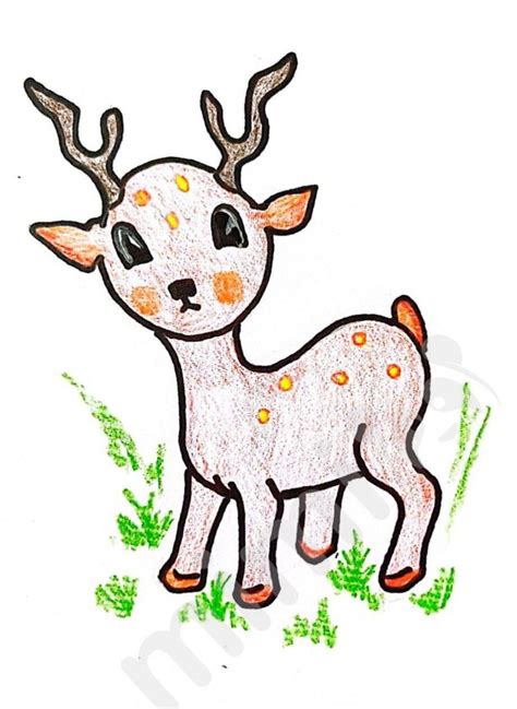 Deer Drawing: Step-by-Step Tutorial - Mimi Panda