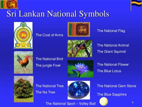 Homework Folder - Sri Lankan national symbols