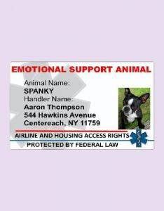 Animal ID Card - 10+ Examples, Format, Pdf