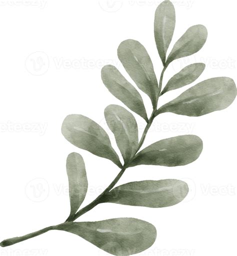 Greenery Leaf Watercolor 9369340 PNG