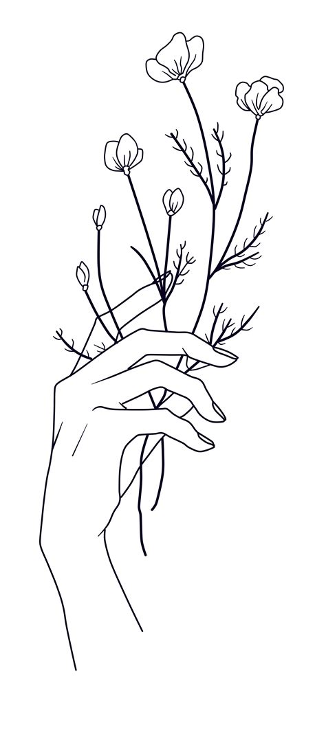 Line Art Hand Holding Flowers Drawing Flower drawing on canvas by hand ...