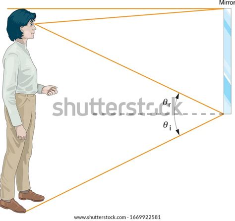 Shows Ray Diagram Light Rays Involved Stock Vector (Royalty Free ...