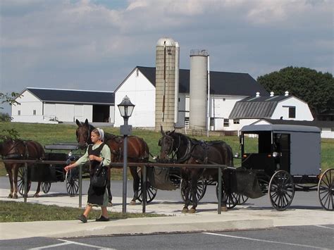 » How Anyone Can Experience The Amish Lifestyle