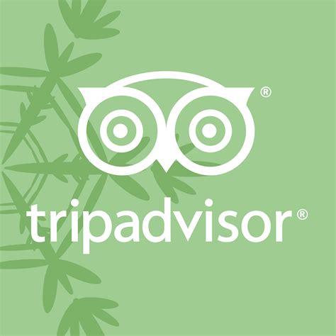 Tripadvisor Logo PNG Transparent & SVG Vector - Freebie Supply