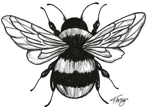 Bumble Bee Black and White Drawing Tattoo