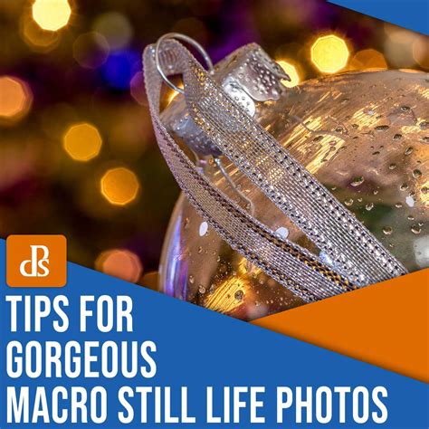 9 Tips for Gorgeous Macro Still Life Photography