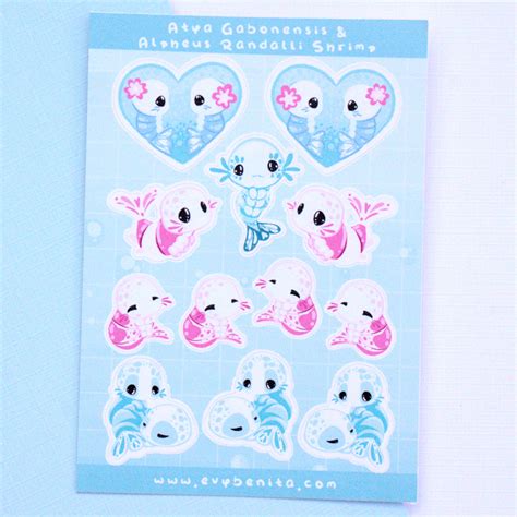 Cute Shrimp Sticker Sheet | Evy Benita