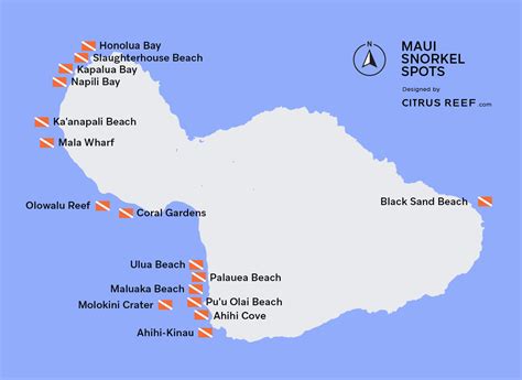 Best Maui Snorkeling: Top 16 Spots | Citrus Reef